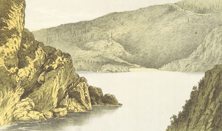 illustration
